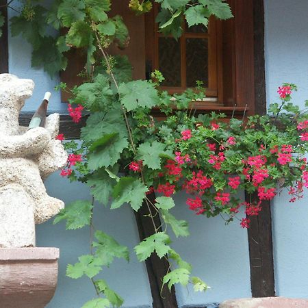 Chambres D'Hotes Ruhlmann Dambach-la-Ville Ngoại thất bức ảnh